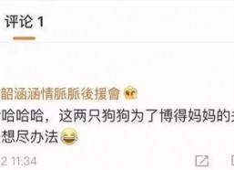 娱乐圈吃瓜总结,揭秘明星幕后真相与八卦传闻